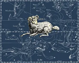 1687: Aries Constellation, 1687