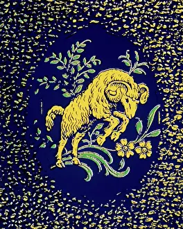 Brightest: Aries the Flying Ram First Sign of the Zodiac