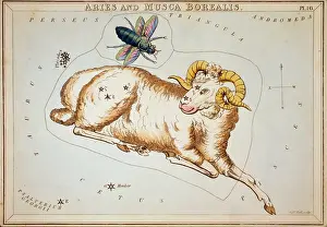 Borealis: Aries and Musca Borealis