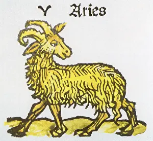 Aries: Aries the Ram