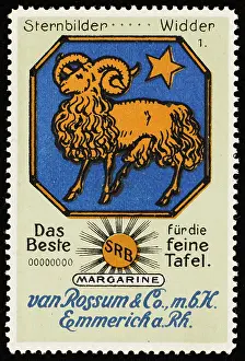 Rossum: ARIES (ROSSUM)
