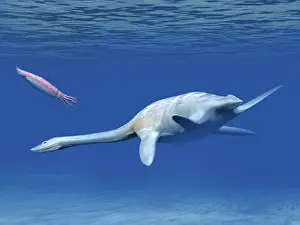 Plesiosaur: Aristonectes plesiosaur attempts to make a meal of a ?
