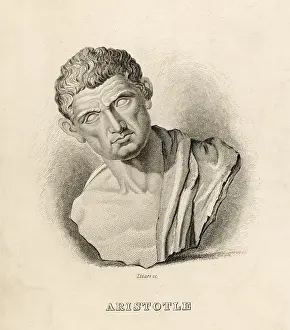 Sculptured: ARISTOTLE/LIZARS