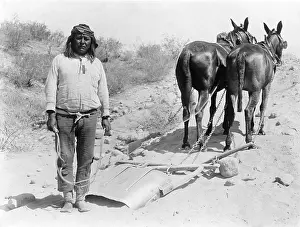 Arizonas: Arizona's Salt River Project involved the ?