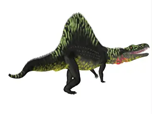 Crocodile: Arizonasaurus dinosaur, side profile