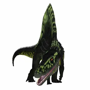 Archosaur: Arizonasaurus dinosaur, front view on white background
