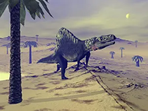 Archosaur: Arizonasaurus dinosaur walking in the desert