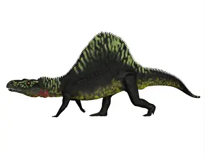 Archosauria: Arizonasaurus dinosaur on white background