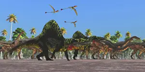 Archosaur: Arizonasaurus dinosaurs follow along with a herd of ?