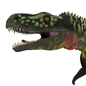 Archosauria: Arizonasaurus portrait on white background