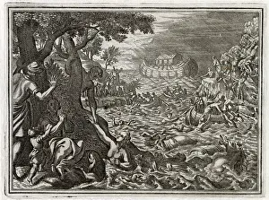 Perish: ARK AND DELUGE C17