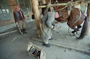 Horseshoe: Arkhonskaya Cossack village