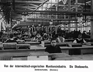 Munitions: Armaments Industry in Austria-Hungary, 1917