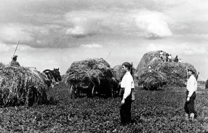 Guerrilla: Armed local auxiliaries on the Eastern Front, 1942