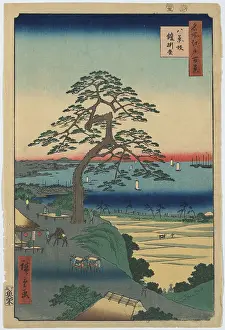 Bluff: Armor-Hanging Pine, Hakkeizaka