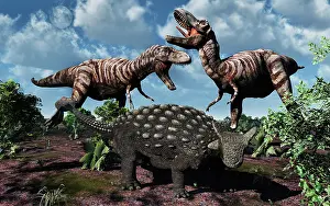 Tyrannosaurus: An armored Ankylosaurus protecting itself from