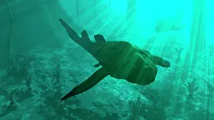 Detritivore: An armored Bothriolepis glides along the bottom of a ?