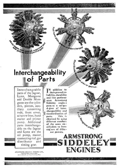 Interchangeable: Armstrong Siddeley Aero Engines Have Interchangeable Parts