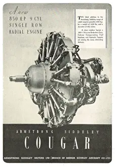 Cougar: Armstrong Siddeley Cougar