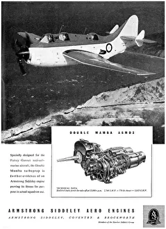 Mamba: Armstrong Siddeley Double Mamba