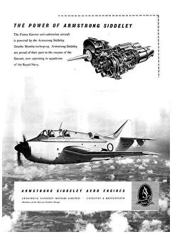 Mamba: Armstrong Siddeley Double Mamba