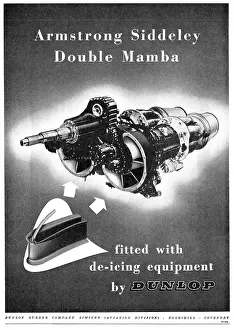 Mamba: Armstrong Siddeley Double Mamba