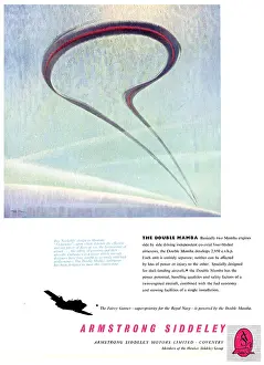 Mamba: Armstrong Siddeley Double Mamba