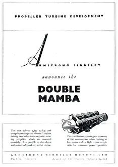 Mamba: Armstrong Siddeley Double Mamba