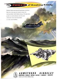 Mamba: Armstrong Siddeley Double Mamba