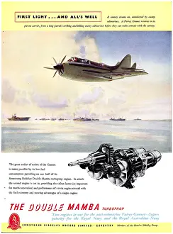 Mamba: Armstrong Siddeley Double Mamba