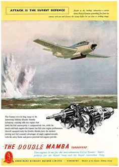 Mamba: Armstrong Siddeley Double Mamba - Gannet