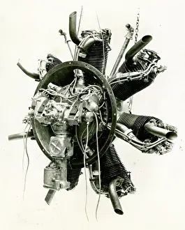 Lynx: Armstrong Siddeley Lynx 7-cylinder radial engine
