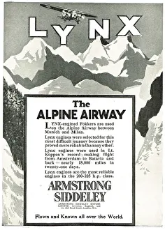 Airway: Armstrong Siddeley Lynx Aero Engine For The Alpine Airway