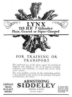 Geared: Armstrong Siddeley Lynx Aero Engine - Plain Or Geared