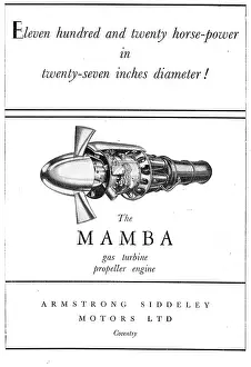 Mamba: Armstrong Siddeley Mamba