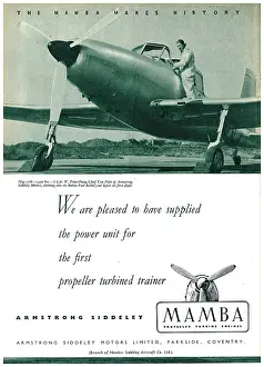 Mamba: Armstrong Siddeley Mamba