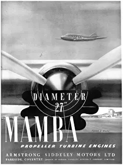 Mamba: Armstrong Siddeley Mamba