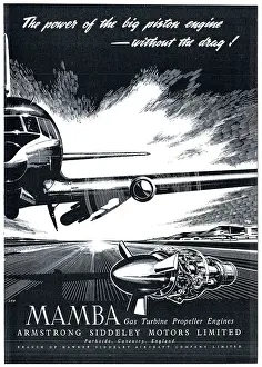 Mamba: Armstrong Siddeley Mamba