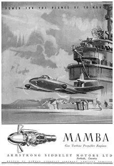 Mamba: Armstrong Siddeley Mamba