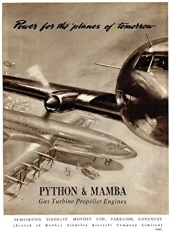 Mamba: Armstrong Siddeley Mamba - Armstrong Siddeley Python