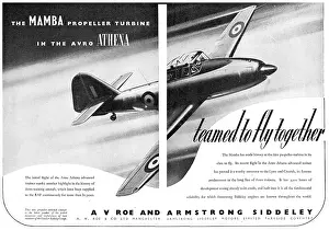 Mamba: Armstrong Siddeley Mamba - Avro Athena
