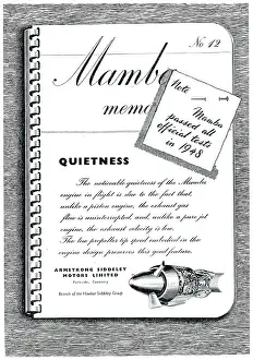 Memoranda: Armstrong Siddeley Mamba Memoranda #12