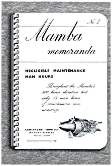 Memoranda: Armstrong Siddeley Mamba Memoranda #7
