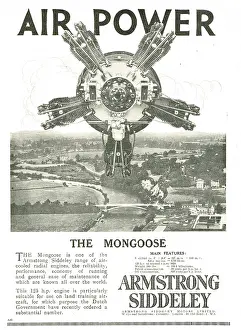 Mongoose: Armstrong Siddeley Mongoose 125 HP Aero Engine