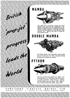 Mamba: Armstrong Siddeley Turboprop Engines 1950. Mamba Python
