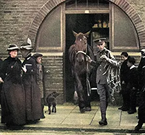 Commandeering: Army commandeering railway horses at Bexhill, WW1