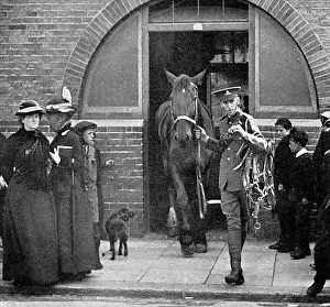 Bexhill: Army commandeering railway horses at Bexhill, WW1