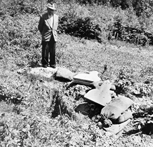Afforestation: US Army cuts down saplings