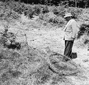 Afforestation: US Army cuts down saplings