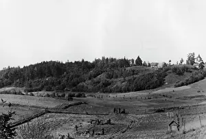 Ulrich: Army Group North in Lithuania, 1941